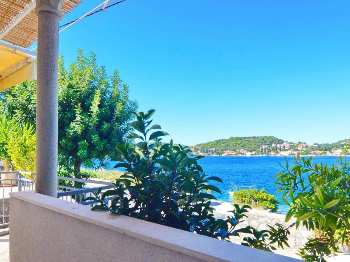 Apartment Violic Zaton (Dubrovnik-Neretva)